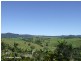 Millaa Millaa QLD 4886