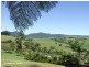 Millaa Millaa QLD 4886