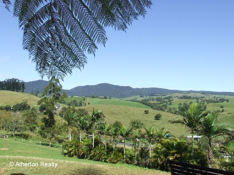 Millaa Millaa QLD 4886