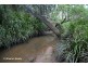 Wondecla QLD 4887