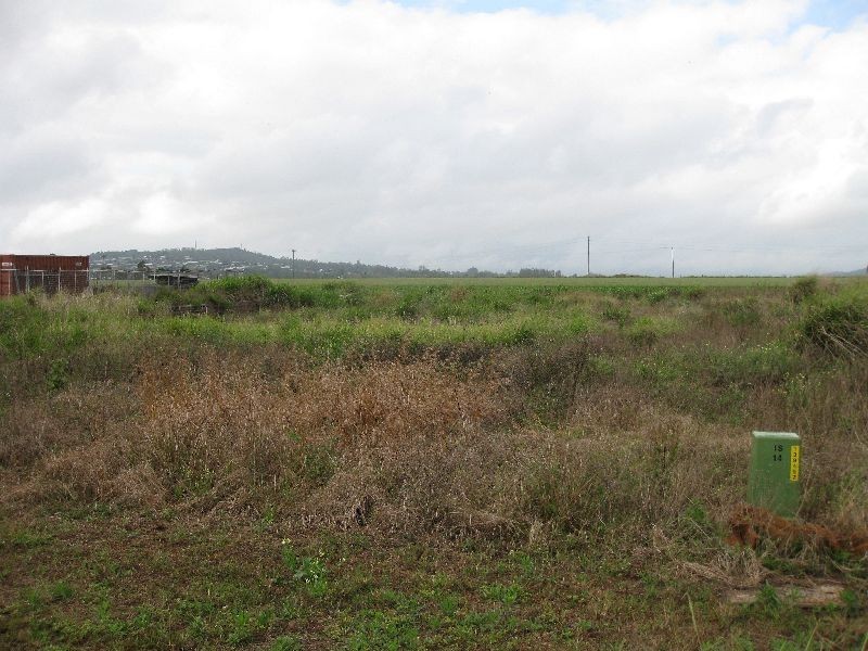 Tolga QLD 4882
