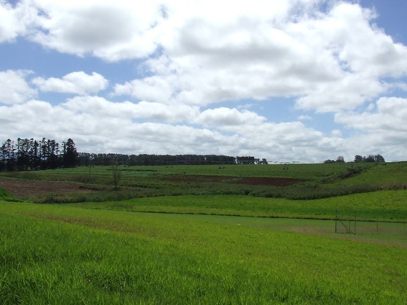 Atherton QLD 4883