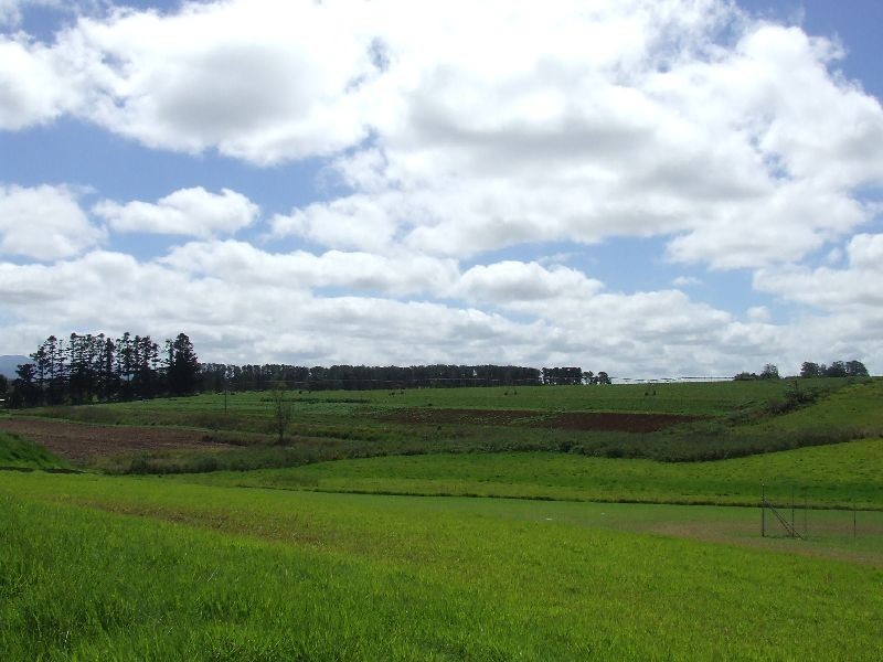 Atherton QLD 4883
