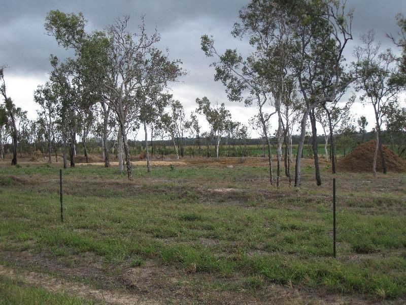 Mareeba QLD 4880