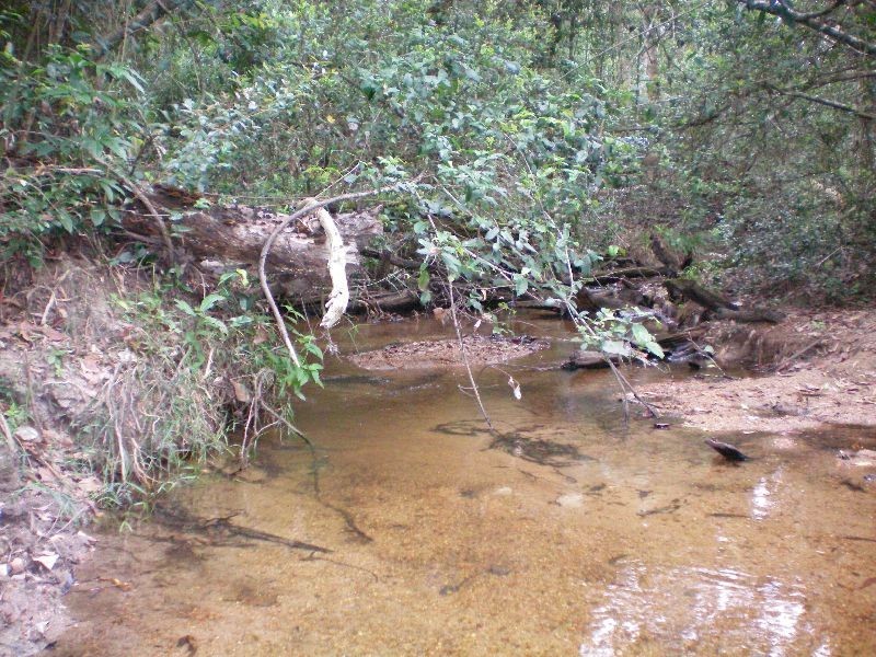 Wongabel QLD 4883