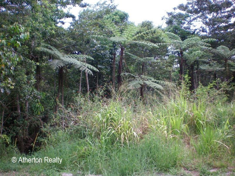 Wongabel QLD 4883