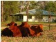 Mareeba QLD 4880