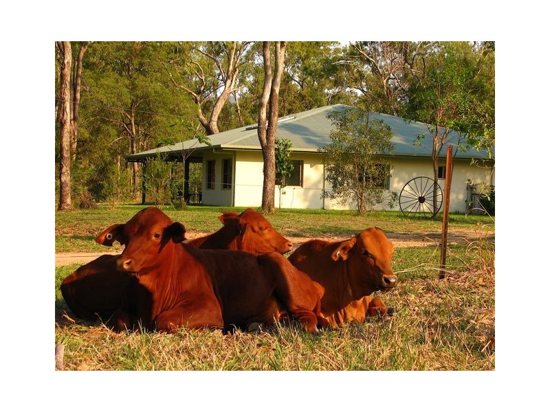 Mareeba QLD 4880