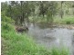 Mareeba QLD 4880