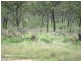 Mareeba QLD 4880