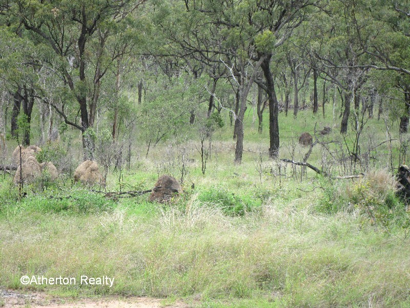 Mareeba QLD 4880