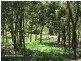 Ravenshoe QLD 4888