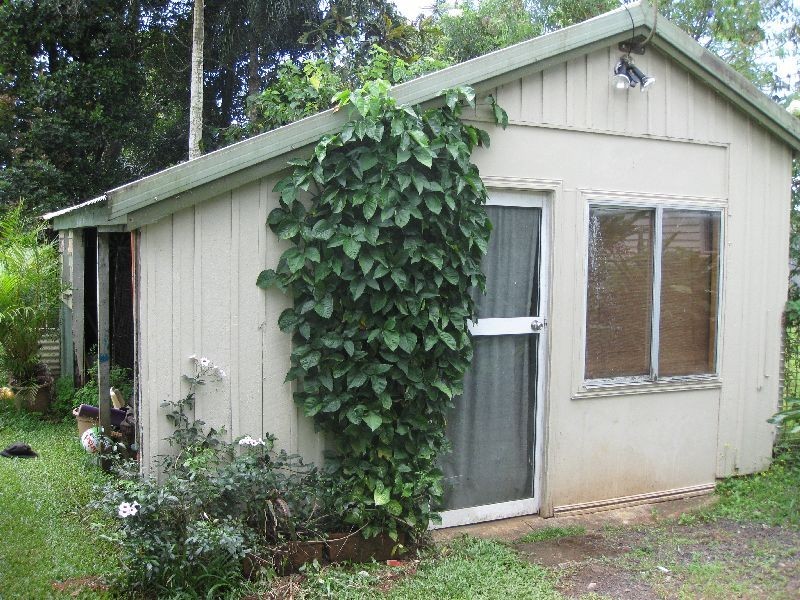 Millaa Millaa QLD 4886