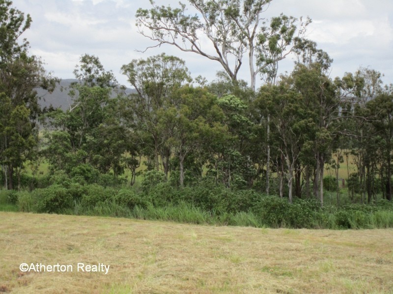 Tolga QLD 4882