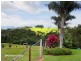 Tarzali QLD 4885