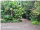 Yungaburra QLD 4884