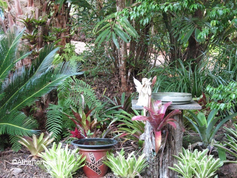 Yungaburra QLD 4884