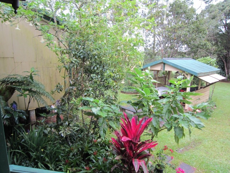 39 Kureen Rd, Malanda QLD 4885