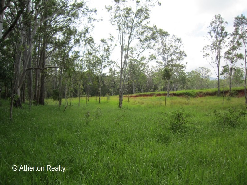 L13 Harding Road, Wondecla QLD 4887