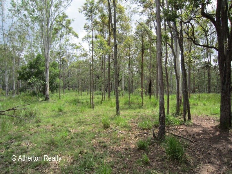 L13 Harding Road, Wondecla QLD 4887