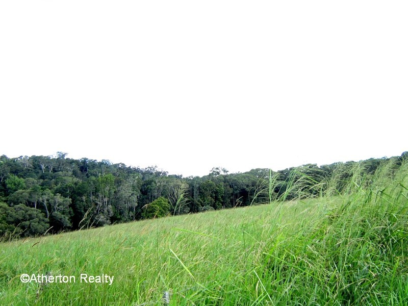 Yungaburra QLD 4884