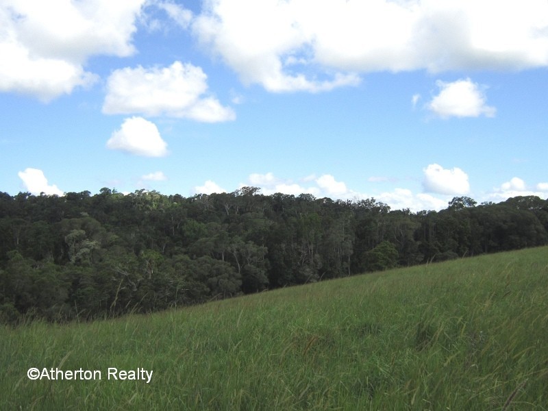 Yungaburra QLD 4884