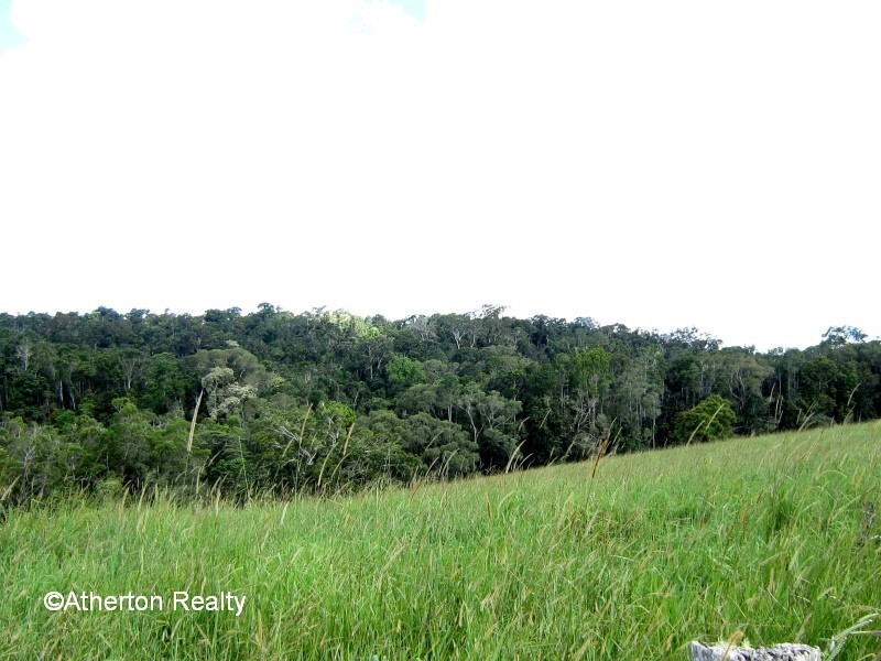 Yungaburra QLD 4884