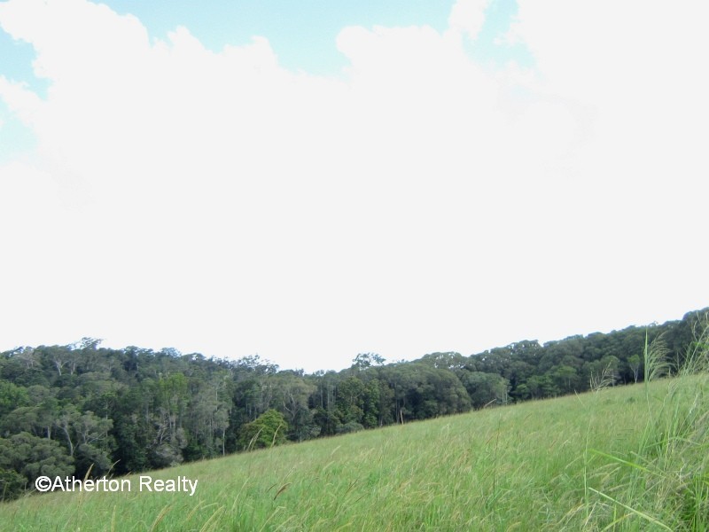 Yungaburra QLD 4884