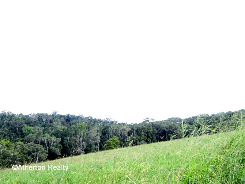 Yungaburra QLD 4884