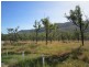 7 Cascade Close, Oaky Creek, Mareeba QLD 4880
