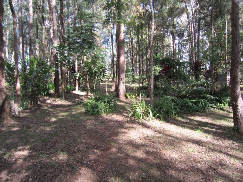 138 Chester Rd, Wondecla QLD 4887
