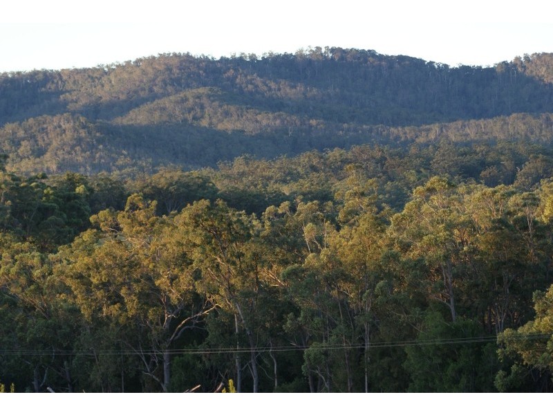 138 Chester Rd, Wondecla QLD 4887