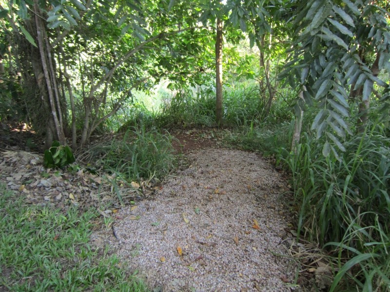 Atherton QLD 4883