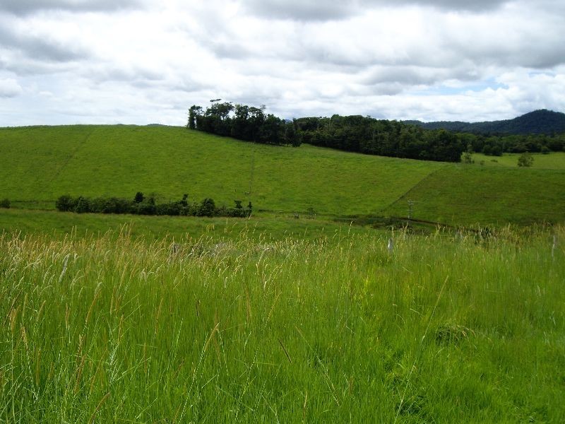 Upper Barron QLD 4883