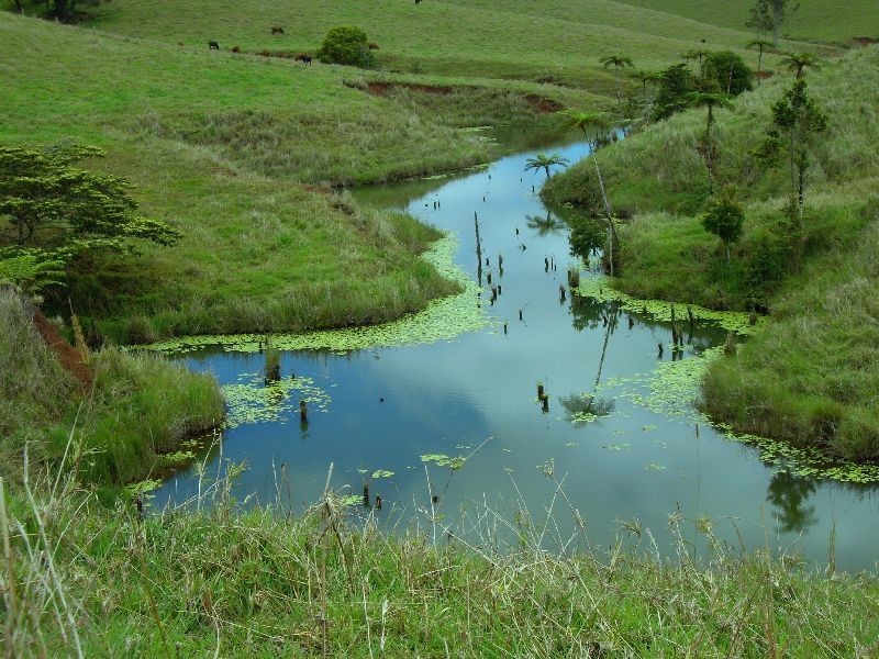Upper Barron QLD 4883