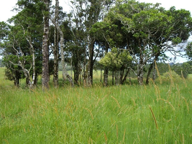 Upper Barron QLD 4883