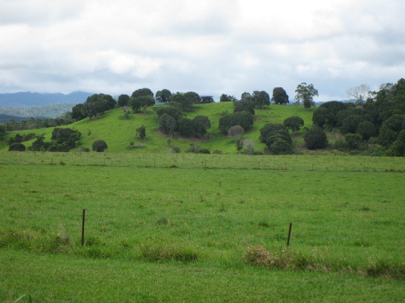 Yungaburra QLD 4884