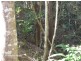 3 Bellevue Ct, Tinaroo QLD 4872
