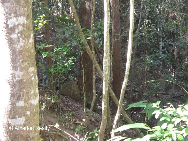 3 Bellevue Ct, Tinaroo QLD 4872