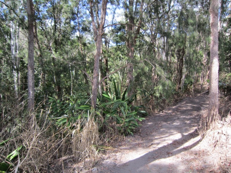L4 Jerome Road, Yungaburra QLD 4884