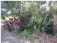 L4 Jerome Road, Yungaburra QLD 4884