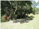 L4 Jerome Road, Yungaburra QLD 4884