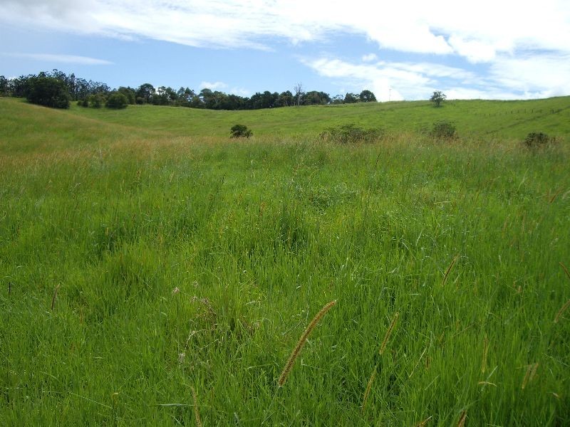 Upper Barron QLD 4883