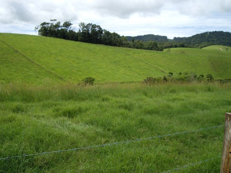 Upper Barron QLD 4883