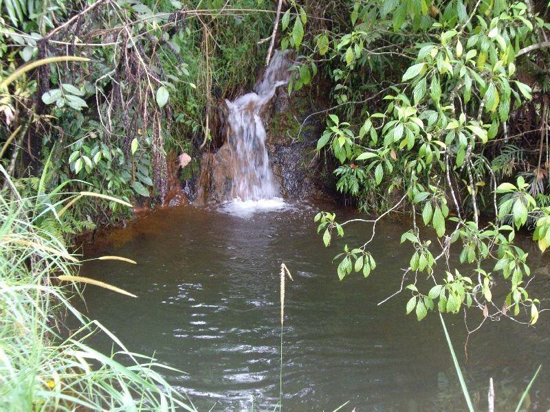 Upper Barron QLD 4883