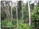 Malanda QLD 4885