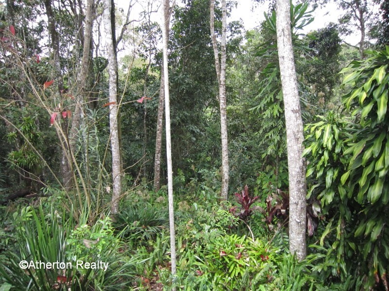 Malanda QLD 4885
