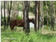 Herberton QLD 4887