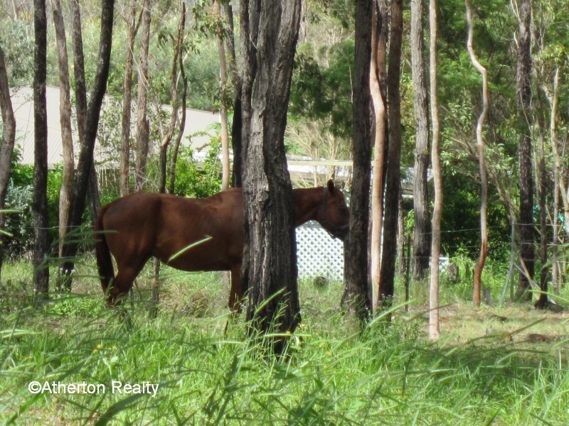 Herberton QLD 4887