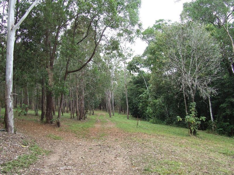 Yungaburra QLD 4884